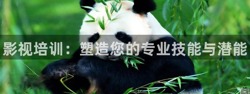 天天看电影网在线