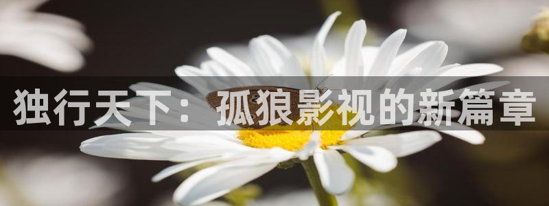 欧美成人天天影院：独行天下：孤狼影视的新篇章