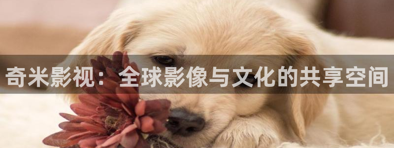 5g影院天天5g天天看：奇米影视：全球影像与文化的共享空间